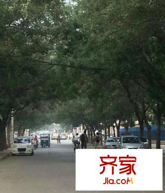 文化樓外景圖唐山  