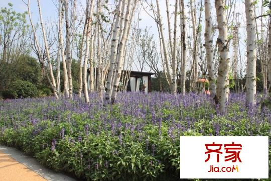 景瑞紅翎臺(tái)別墅