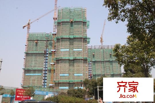 南塘金茂府工程進(jìn)度（2015.3.12）
