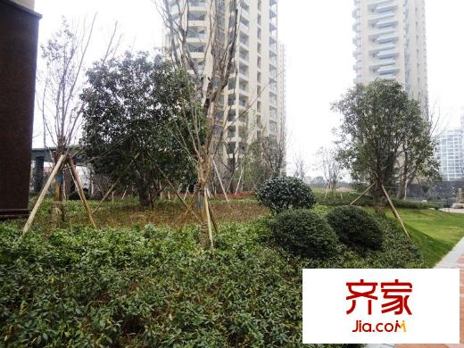 江南一品外景圖 