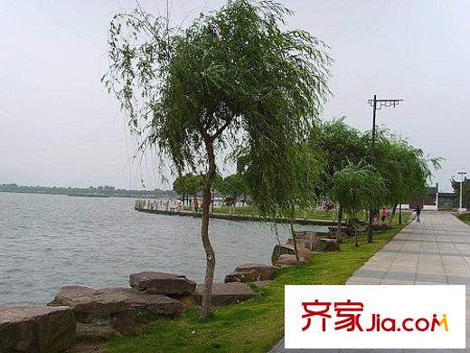 雅戈爾香頌灣別墅配套圖東錢湖