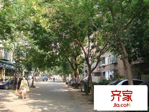 長江里?南開區(qū)外景圖