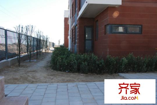 曹妃甸國(guó)際生態(tài)城萬年麗?；ǔ峭饩皥D
