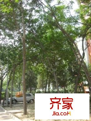賓水西里外景圖