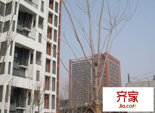 津?yàn)I國際外景圖