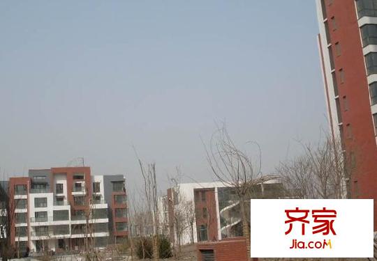 津?yàn)I國際外景圖