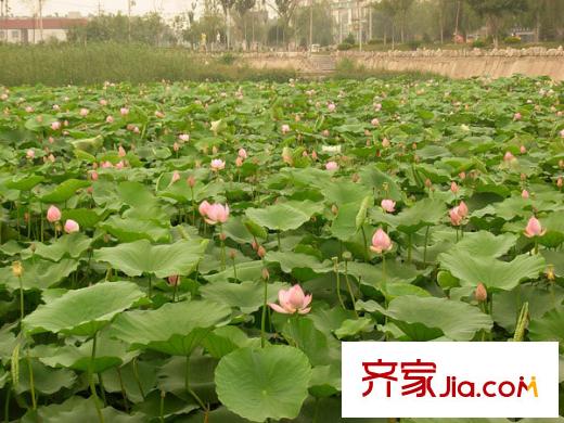 逸翠園配套圖周邊環(huán)境