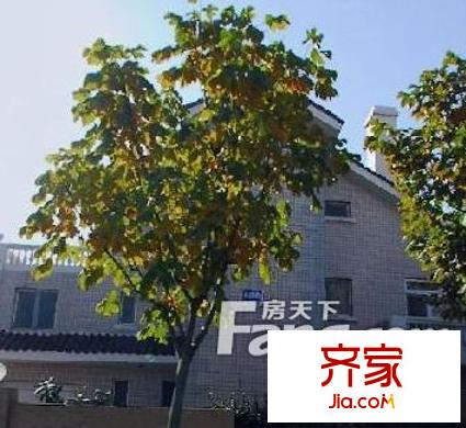 科馨別墅外景圖