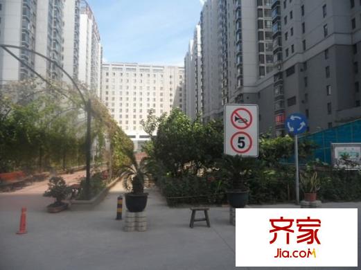 麥迪遜廣場外景圖