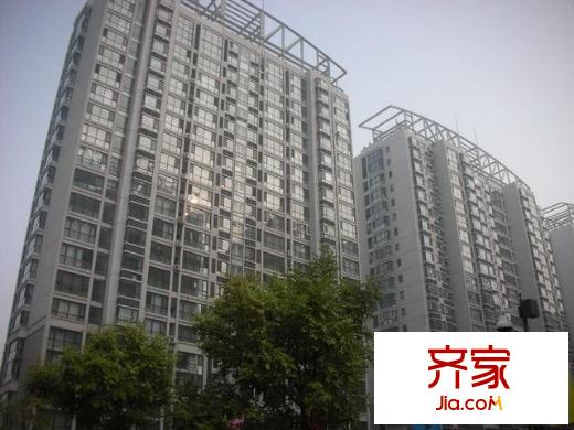 麥迪遜廣場