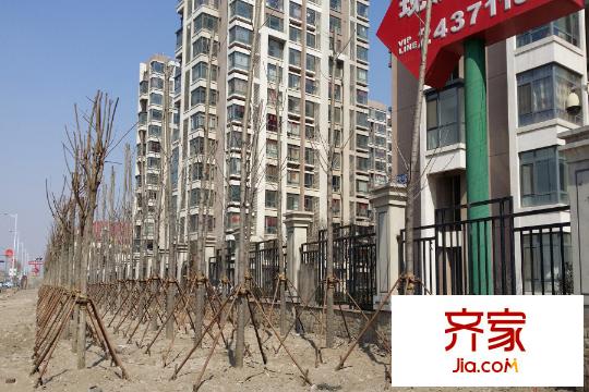天房翠海紅山實(shí)景圖小區(qū)（2015-03）