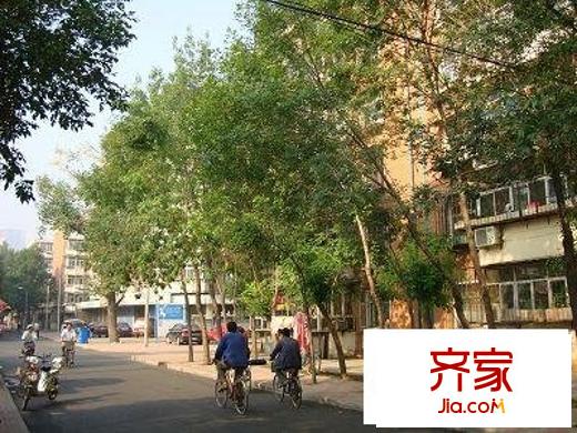 蘇堤東里外景圖