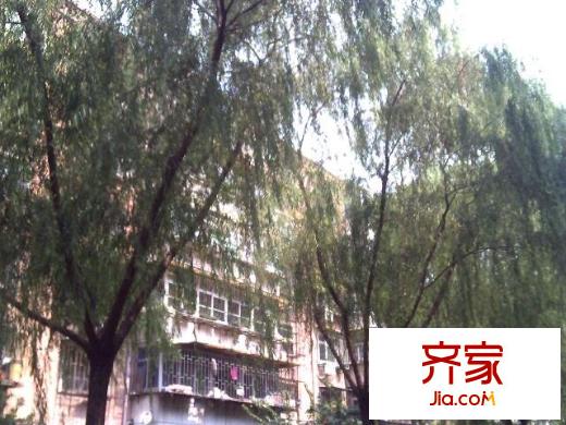 桃花園東里外景圖