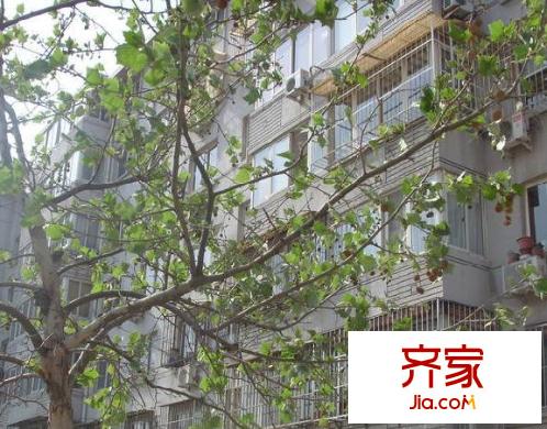 觀園公寓外景圖
