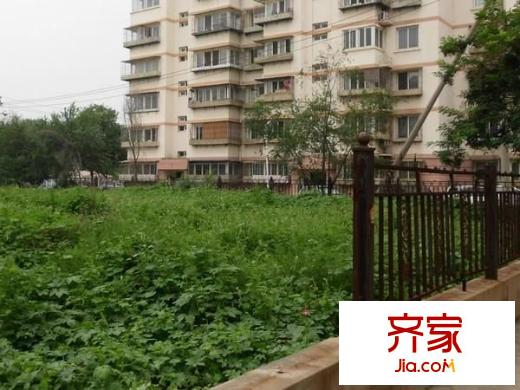 蓮安里外景圖