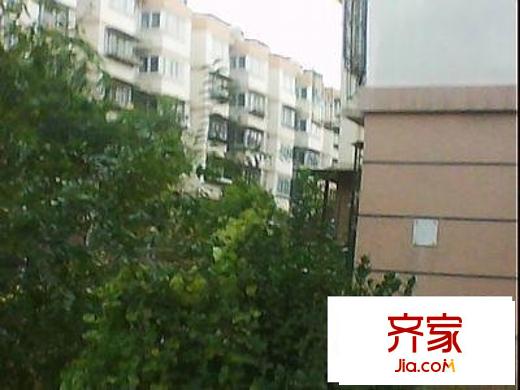 蓮安里外景圖