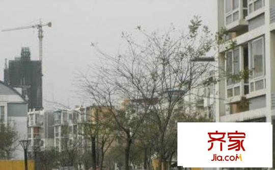 萊茵春天外景圖