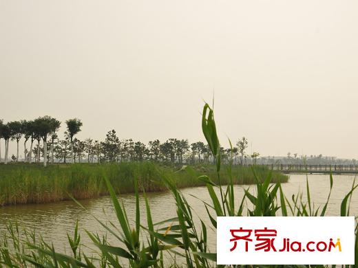 海泰渤龍灣周邊臨近的渤龍湖