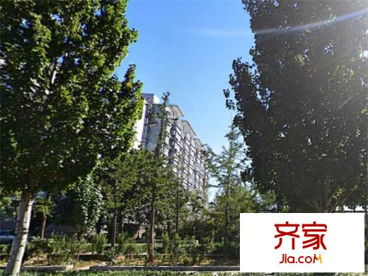 金色華爾茲外景圖 