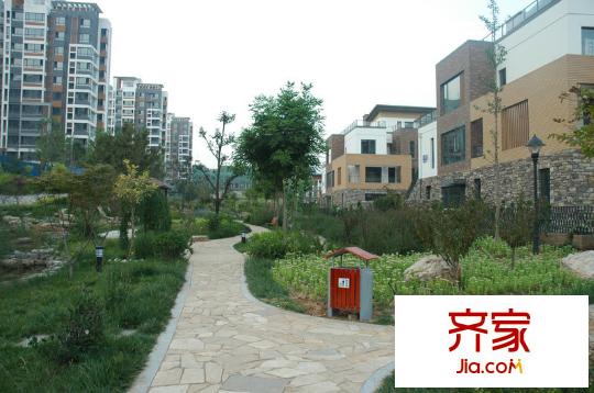 天一綠海一期小區(qū)綠化（2010-09-08）