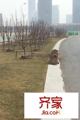 中國塘院內(nèi)道路（2015-03）