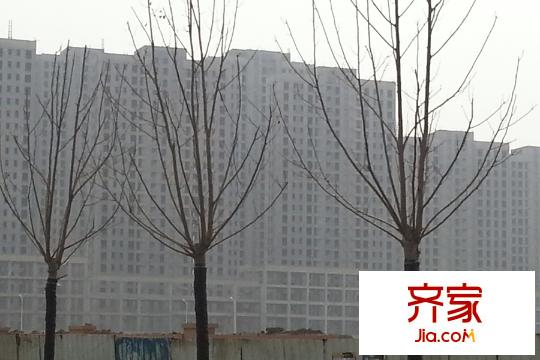 中國塘高層工程進度（2015-03）