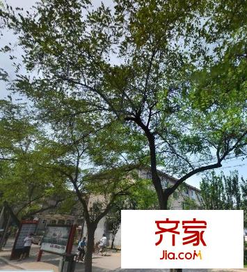 機(jī)場路北樓外景圖 