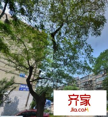 機(jī)場(chǎng)路北樓