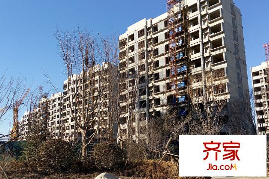 寶龍城14號樓工程進度（2015-2）