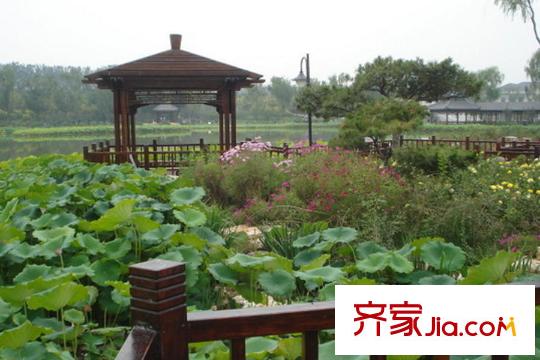 鑫苑湯泉世家周邊臨近津北森林公園