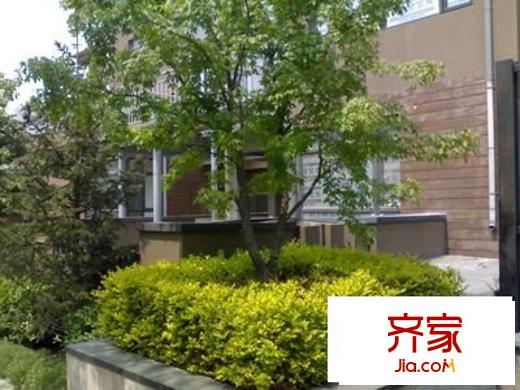 俊城荷蘭墅別墅外景圖