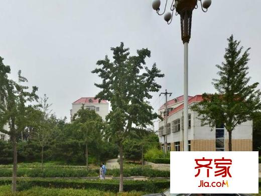 紅星樓外景圖