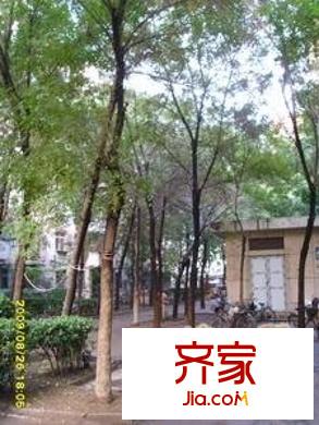 友誼公寓外景圖