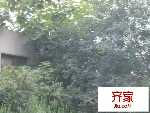 21小區(qū)外景圖
