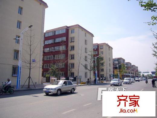 現(xiàn)代花苑