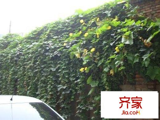 興泰西里外景圖