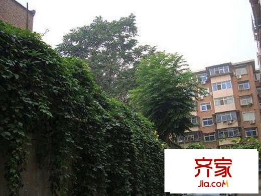 興泰西里外景圖
