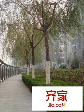 華夏津典漣水園外景圖