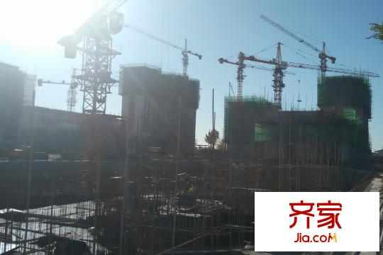 大悅福園工程遠(yuǎn)景進(jìn)度圖（2015-11-3）