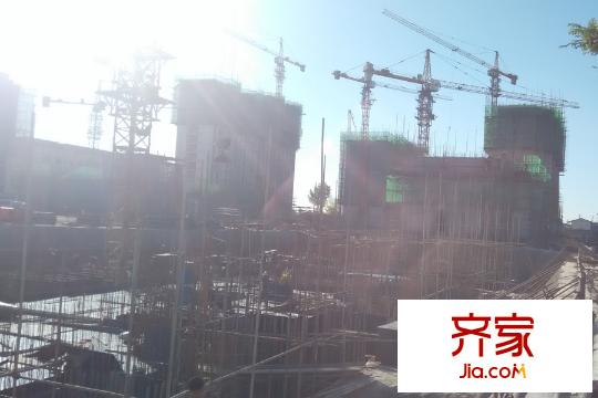 大悅福園整體工程進(jìn)度圖（2015-11-3）