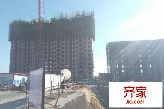 大悅福園單體工程進(jìn)度圖（2015-11-3）