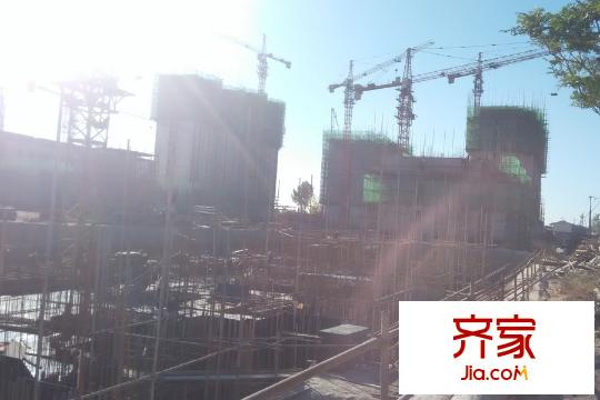 大悅福園項(xiàng)目全景工程進(jìn)度圖（2015-11-3）