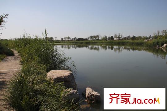 中電藍(lán)色港灣周邊配套-青龍湖