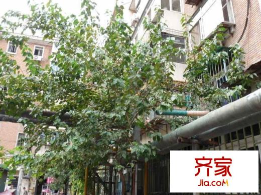 金昆里外景圖