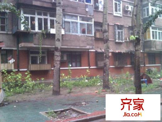 丁字沽十三段外景圖