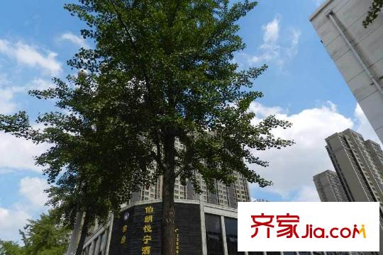 第三空間周邊配套酒店