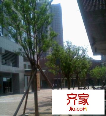 富力津門湖克拉公館外景圖