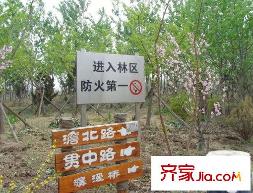 天房天和園周邊公園配套塘沽森林公園