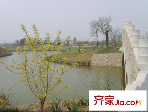 天房天和園周邊公園配套塘沽森林公園