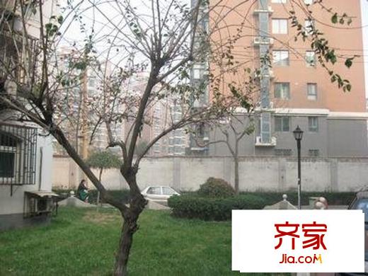 龍都南園外景圖